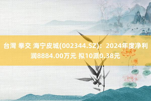 台灣 拳交 海宁皮城(002344.SZ)：2024年度净利润8884.00万元 拟10派0.38元