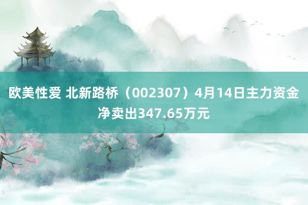 欧美性爱 北新路桥（002307）4月14日主力资金净卖出347.65万元