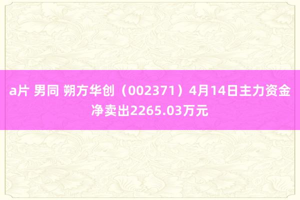 a片 男同 朔方华创（002371）4月14日主力资金净卖出2265.03万元