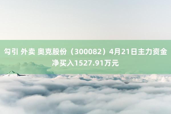 勾引 外卖 奥克股份（300082）4月21日主力资金净买入1527.91万元