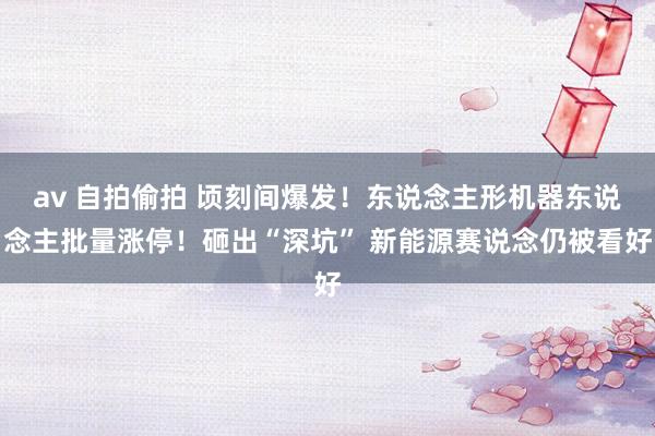 av 自拍偷拍 顷刻间爆发！东说念主形机器东说念主批量涨停！砸出“深坑” 新能源赛说念仍被看好