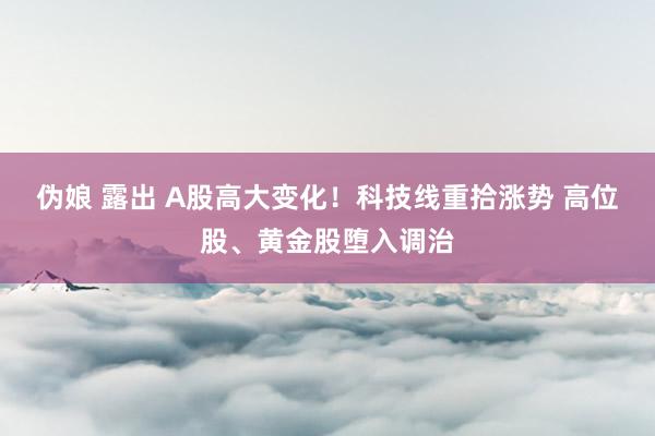 伪娘 露出 A股高大变化！科技线重拾涨势 高位股、黄金股堕入调治