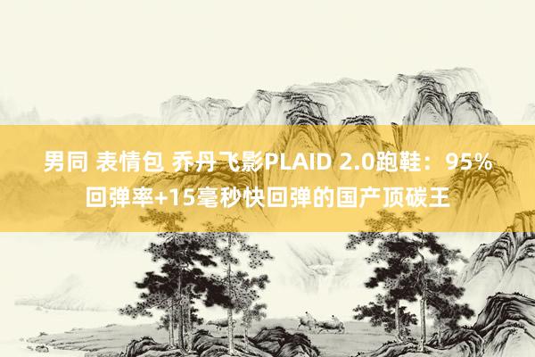 男同 表情包 乔丹飞影PLAID 2.0跑鞋：95%回弹率+15毫秒快回弹的国产顶碳王