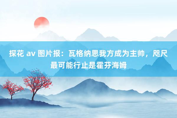 探花 av 图片报：瓦格纳思我方成为主帅，咫尺最可能行止是霍芬海姆