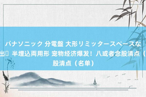 パナソニック 分電盤 大形リミッタースペースなし 露出・半埋込両用形 宠物经济爆发！八或者念股清点（名单）